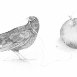 Blackbird + Apple