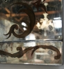 Venetian Églomisé Mirror