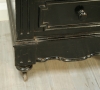 Napoleon III Ebonised Bathroom Cabinet