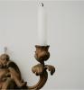 Pair of Louis 15 Style Sconces