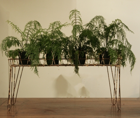 French Decorative Jardiniere